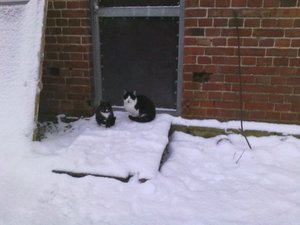 Moritz und Socke.jpg