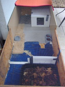 Katerchens-home.jpg Katerchens-home.jpg