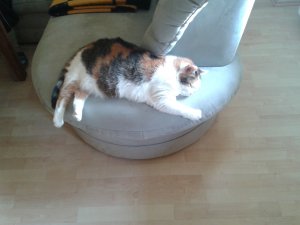 2011-12-28 13.53.37.jpg