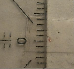 Ohne Vergrößerung.jpg