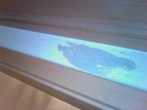 Foto am 15-03-2012 um 18.05.jpg