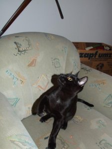 Wo ist die Angel.jpg