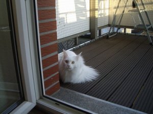 IMGP0294_Größe ändern.JPG