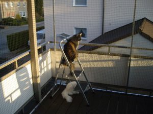 IMGP0298_Größe ändern.JPG