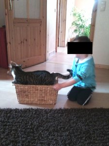 Kittie20  ohne Augen.JPG