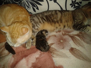 2012-03-24 15.58.46.jpg