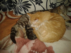 2012-03-24 15.59.27.jpg