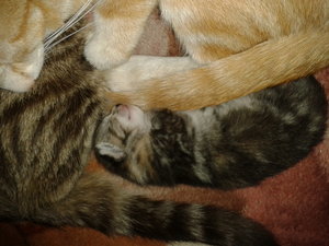 2012-03-24 16.00.03.jpg