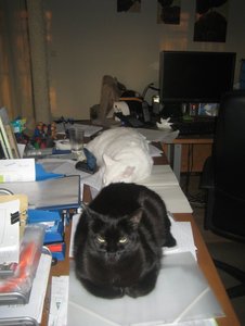 Stoffe und mehr 001.jpg