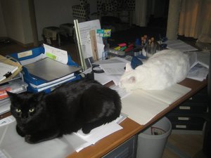 Stoffe und mehr 002.jpg