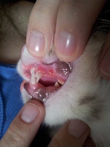 2012-03-31 16.07.05.jpg