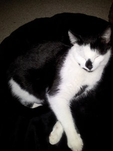 2012-03-31 23.32.35.jpg