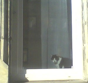 Foto-0003(2).jpg Foto-0003(2).jpg