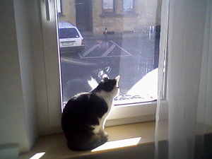 Foto-0008.jpg Foto-0008.jpg