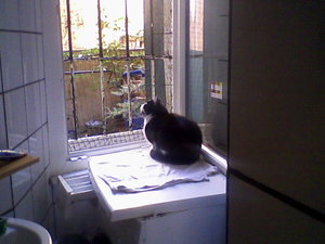 Foto-0003.jpg Foto-0003.jpg