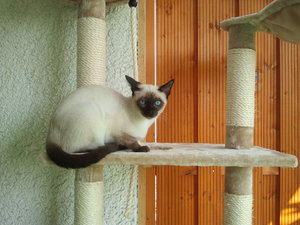 2012-03-25 13.18.45.jpg