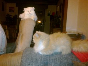 kaatziiiiiiiiiiii 049.jpg