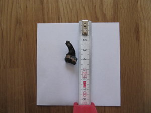 Fremdkörper 003.JPG