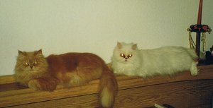 Pebbles und Sheila.jpg