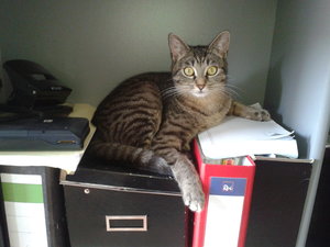 2012-03-27 13.41.26.jpg