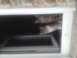 2012-02-23 11.39.43.jpg