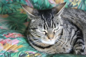 IMG_2514 [1280x768].JPG