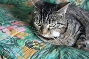 IMG_2517 [1280x768].JPG