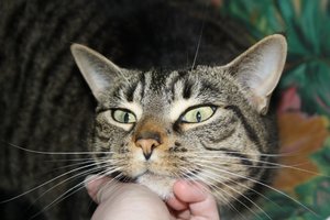 IMG_2534 [1280x768].JPG