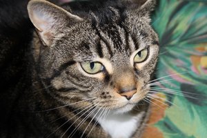 IMG_2531 [1280x768].JPG