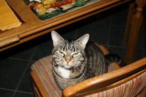 IMG_1186 [1280x768].JPG