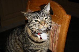 IMG_1184 [1280x768].JPG