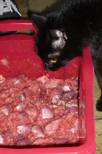 Matschen bei Tine 130.jpg