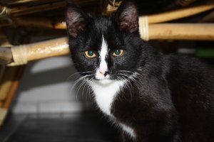 IMG_1383 [1280x768].JPG