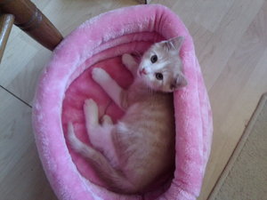 8 Wochen, 5 Tage 15.jpg