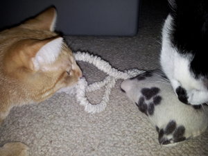 2012-04-14 20.06.41.jpg