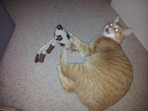 2012-04-14 20.07.54.jpg