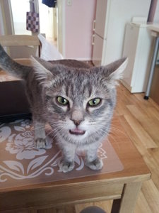 2012-04-18 09.52.31.jpg