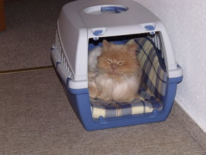 Ey was willst due denn.JPG