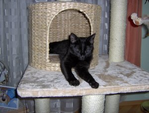 HPIM1879.JPG HPIM1879.JPG