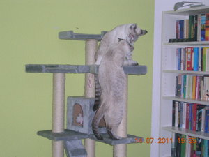 candy 15.07.11 009.JPG