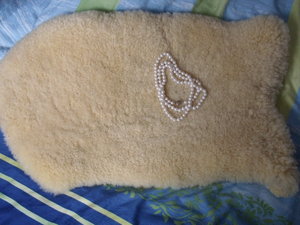 Zobel und Perlen.JPG