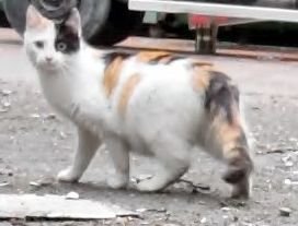 Video 1 0 34 34-20.jpg