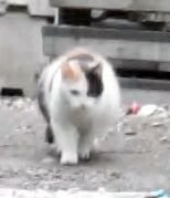 Video 1 0 44 42-03.jpg