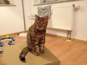 Foto 08.12.11 17 49 00 (1).jpg