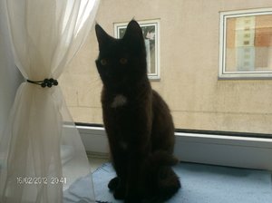 bilder von der cam 087.jpg