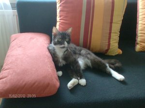 bilder von der cam 080.jpg