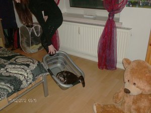 bilder von der cam 076.jpg