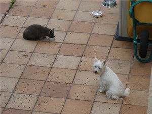 Moritz und Silva001.jpg