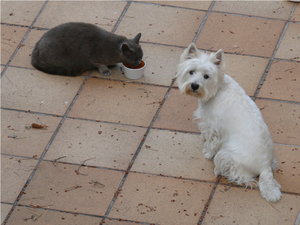 Moritz und Silva003.jpg