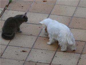 Moritz und Silva004.jpg